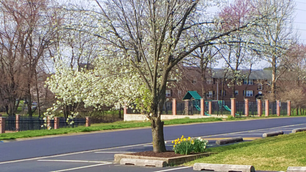 Brandywine Apartments of Wilmington, DE Luxury Apartments Close to Downtown